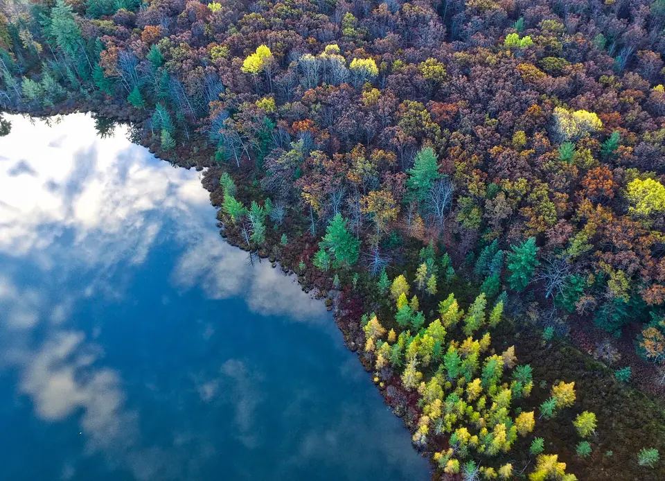 Järvi ja ruskametsä ylhäältä