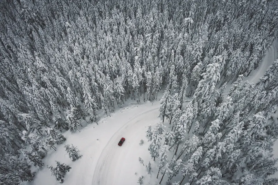 Luminen havumetsä ylhäältä